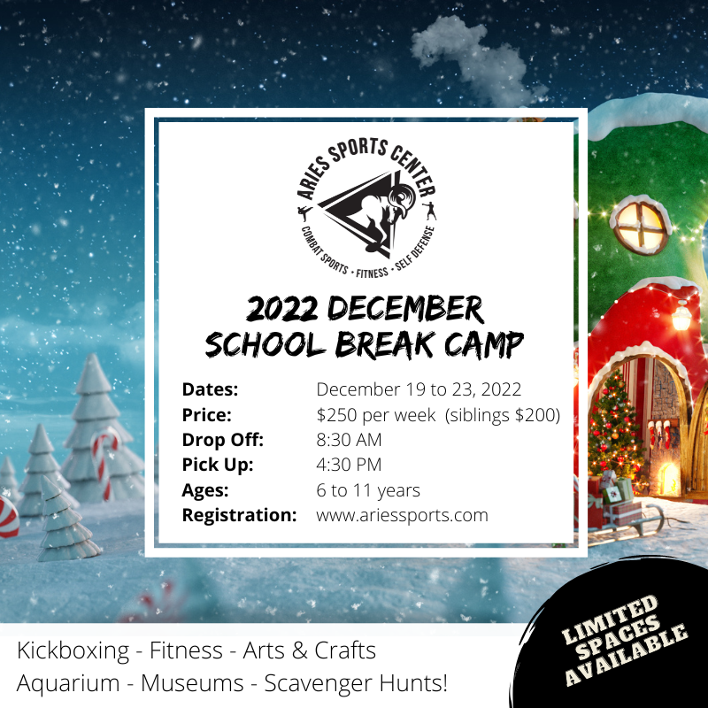 Aries Sports Center – December Break Camp 2022