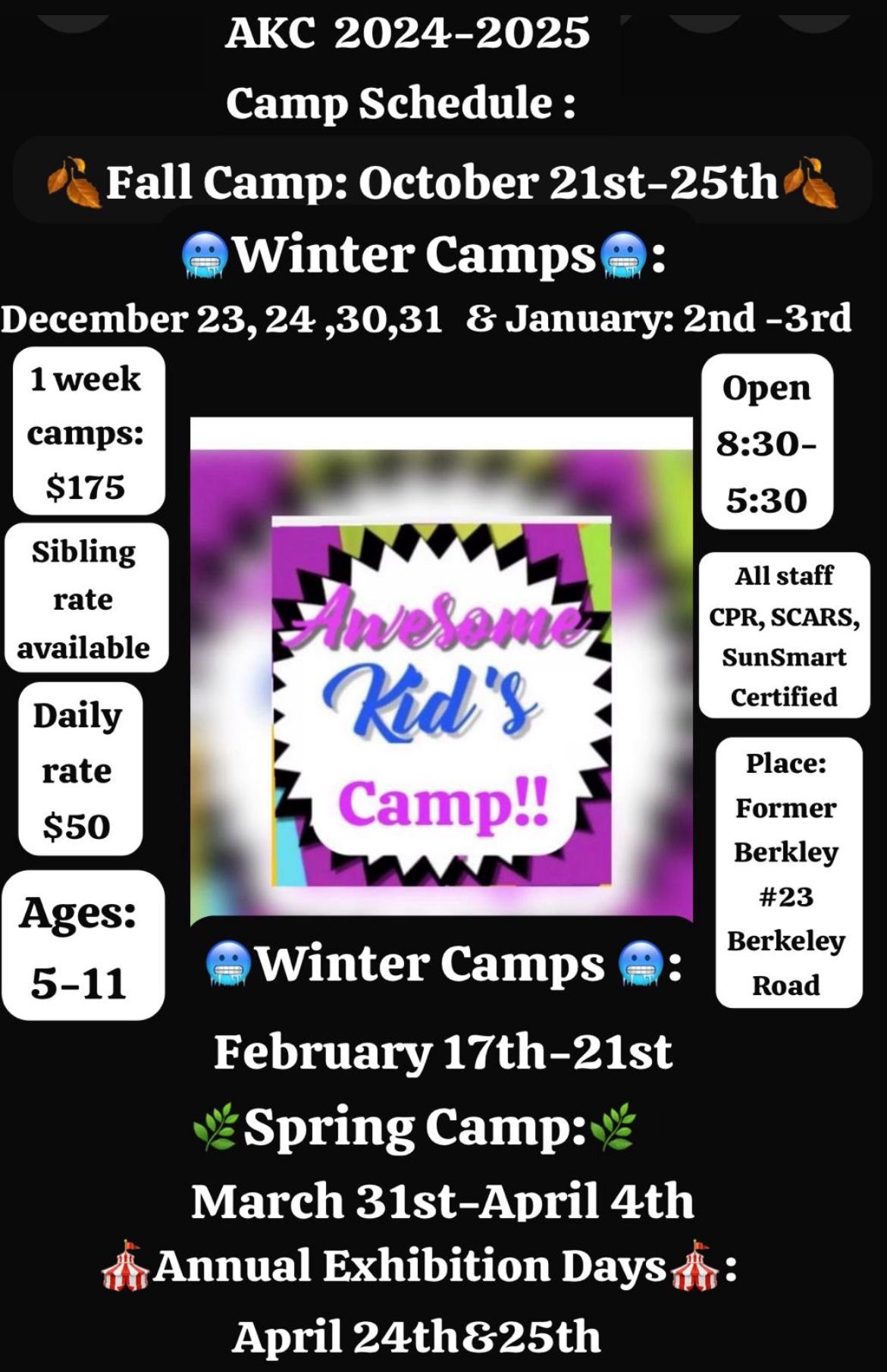 Awesome Kids Camps